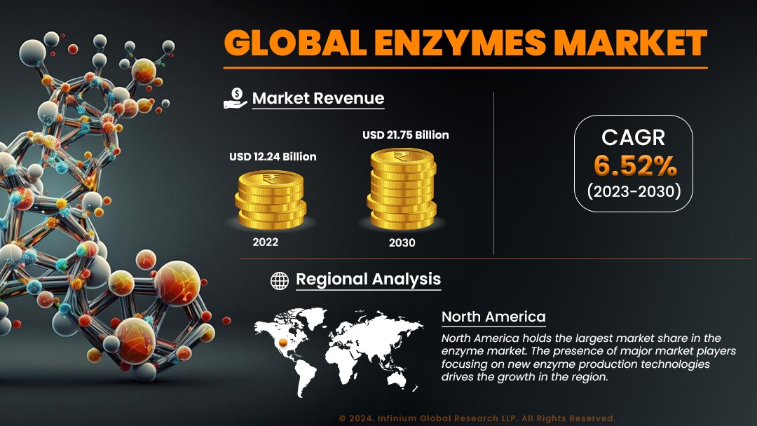 Enzymes Market Size, Share, Trends, Industry | IGR