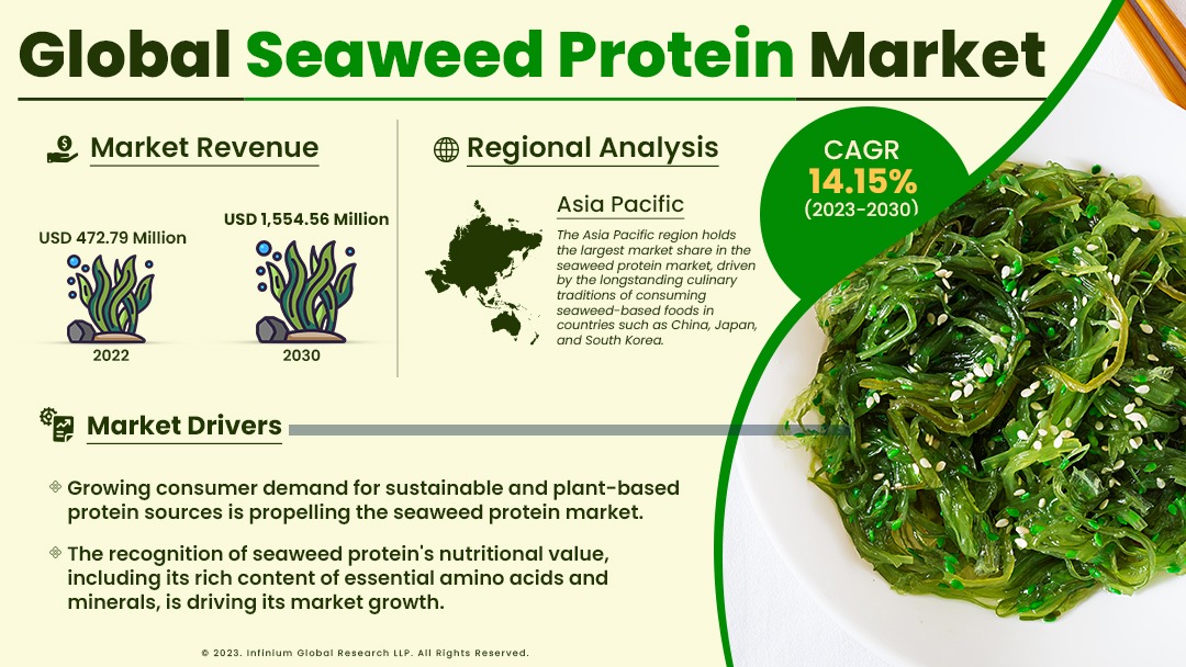 Seaweed Protein Market Size, Share, Trends, Industry | IGR