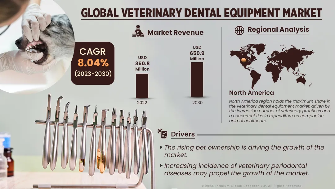 Veterinary Dental Equipment Market Size, Share, Trends | IGR