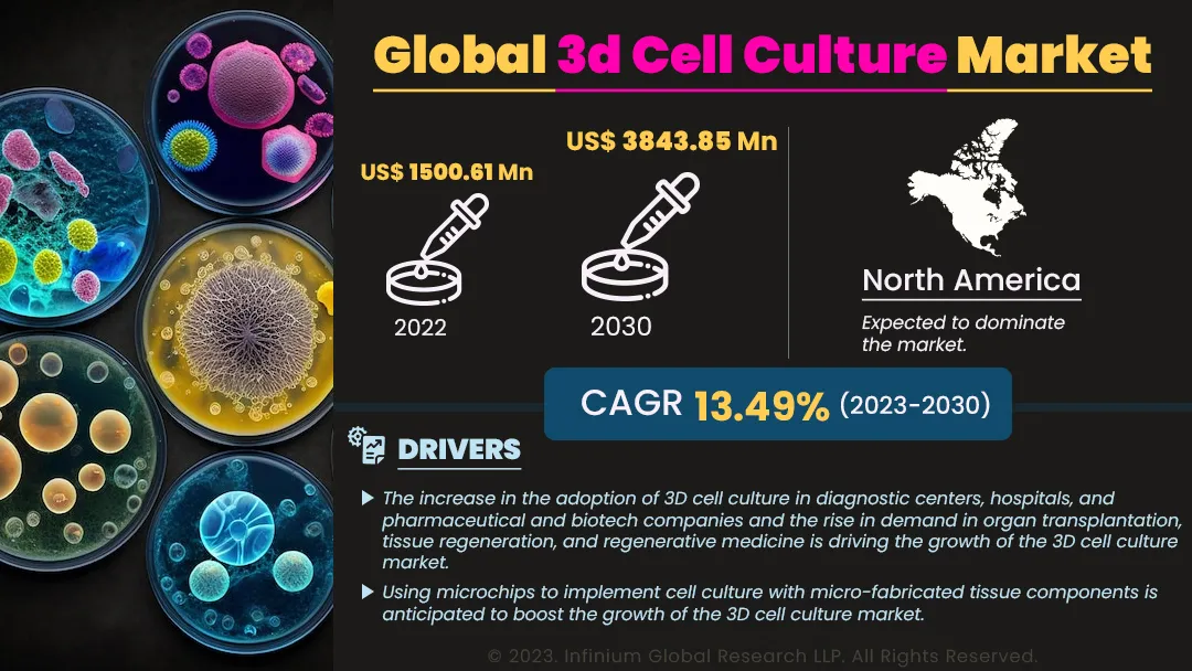 3D Cell Culture Market Size, Share, Trends, Industry | IGR