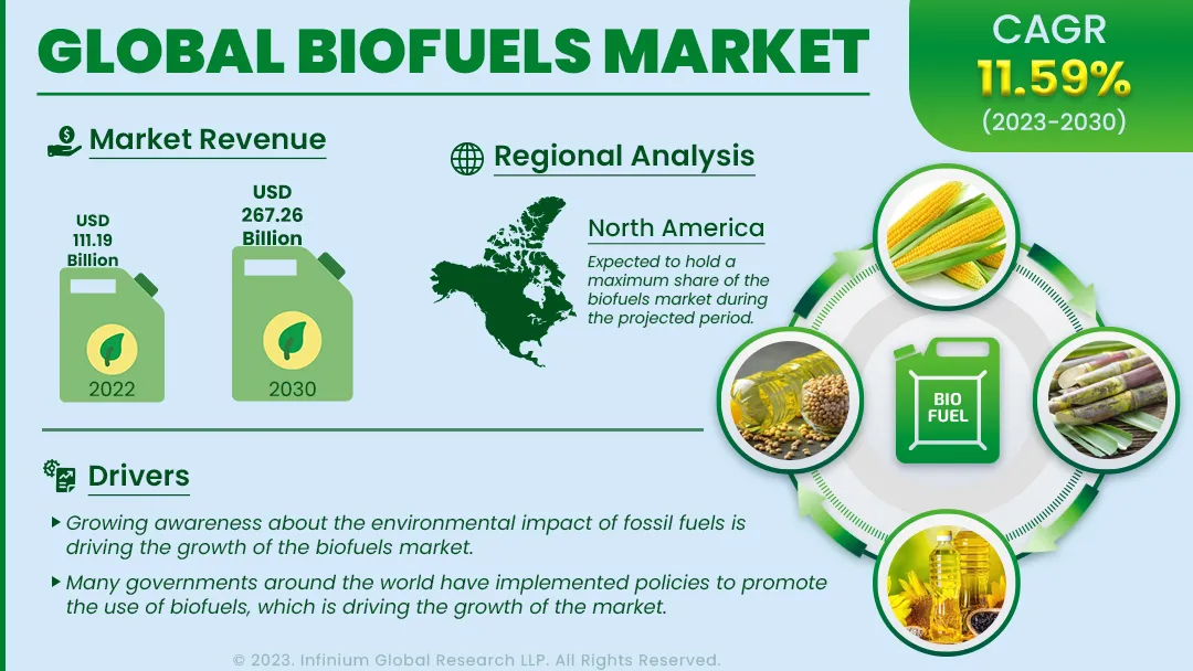 Biofuels Market Size, Share, Trends, Analysis, Industry Report 2030 | IGR