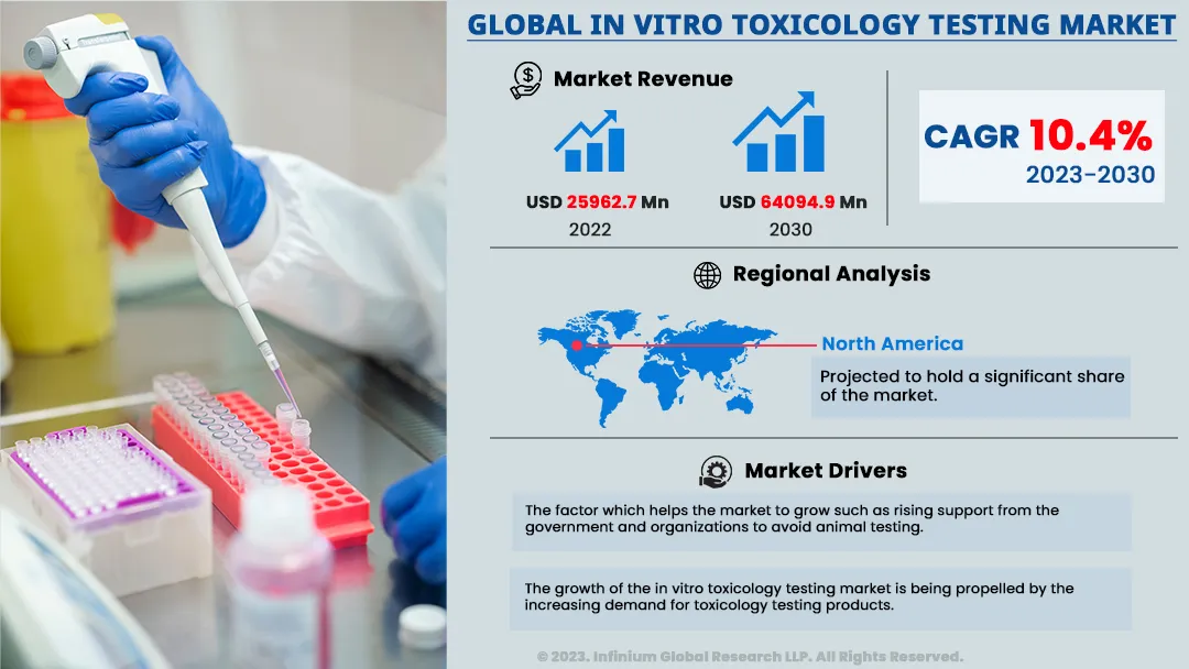 In Vitro Toxicology Testing Market Size, Share, Trend | IGR