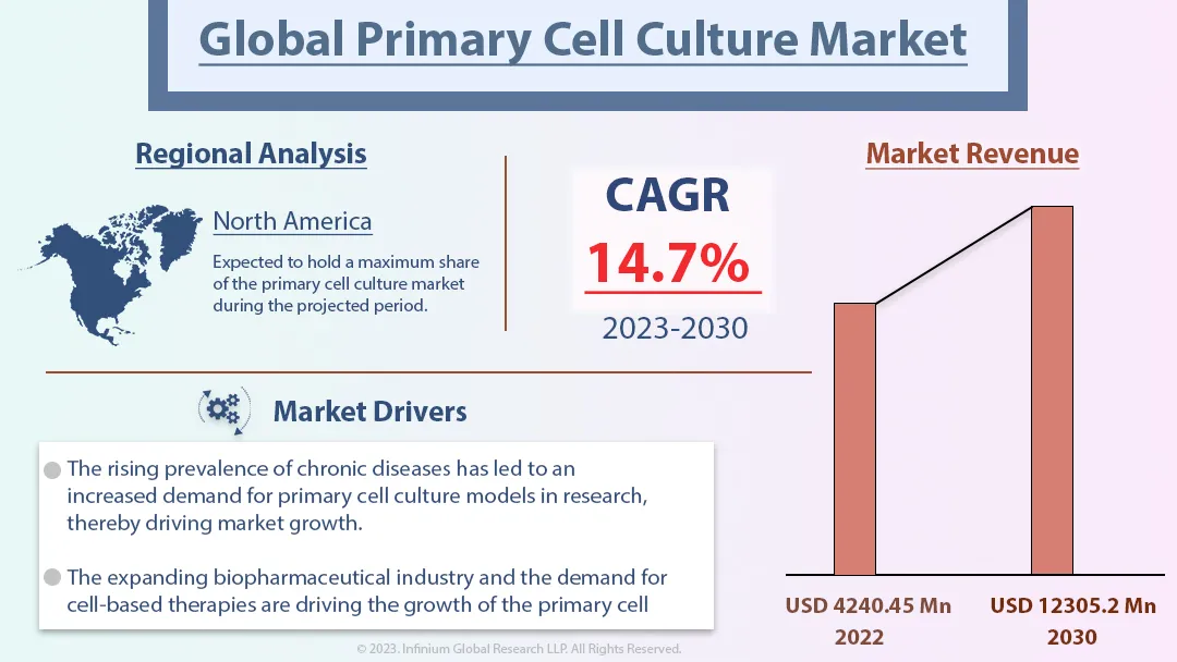 Primary Cell Culture Market Size, Share, Trends, Analysis, Industry Report 2030 | IGR