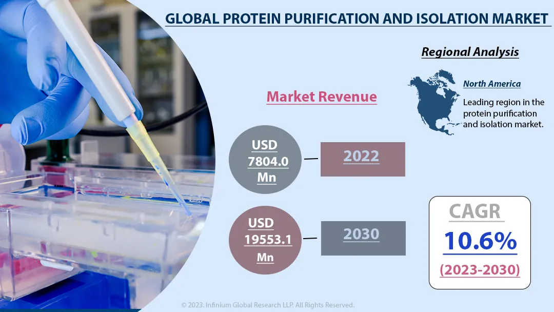 Protein Purification and Isolation Market Size, Share | IGR